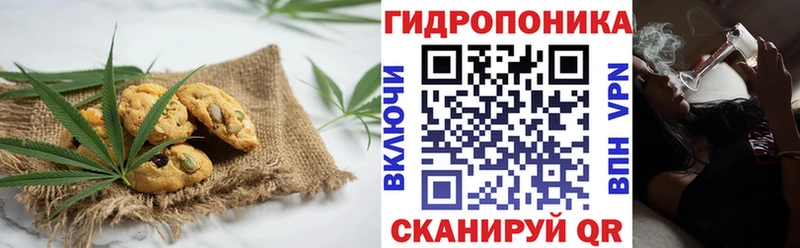 Купить где  Алатырь  Еда ТГК конопля 