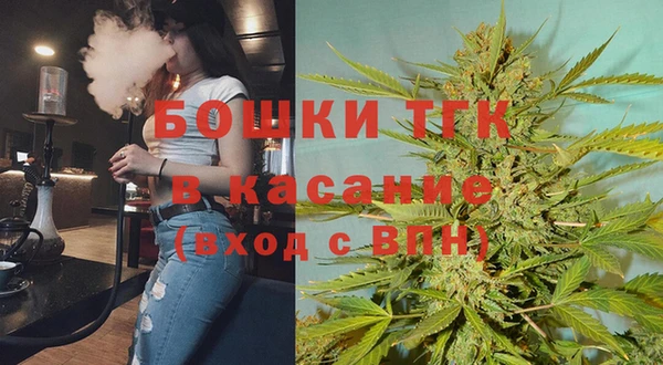прущие грибы Богородск