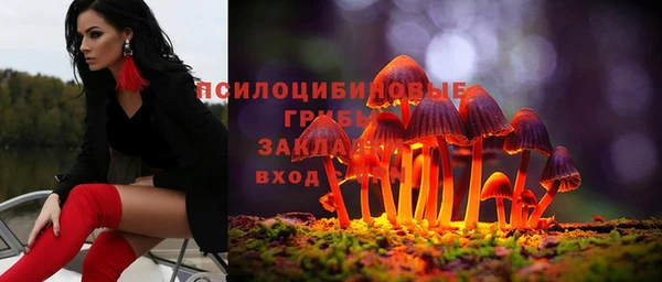 прущие грибы Богородск