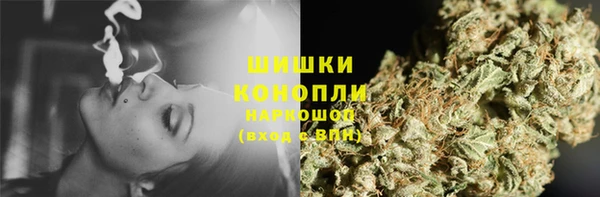 прущие грибы Богородск