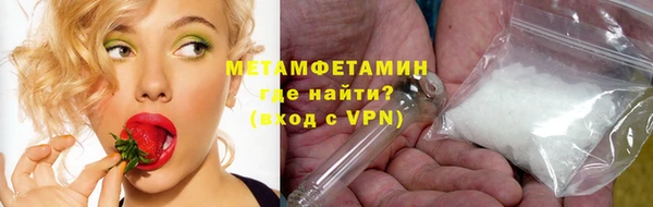 прущие грибы Богородск