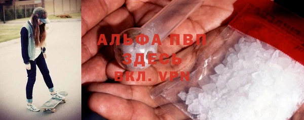 прущие грибы Богородск
