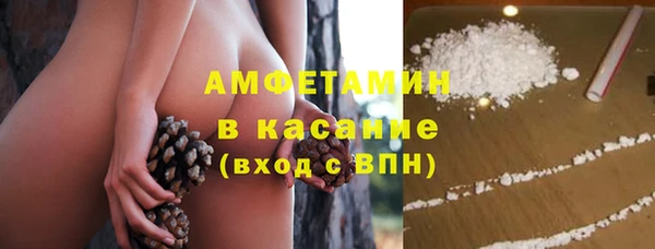 стафф Богданович