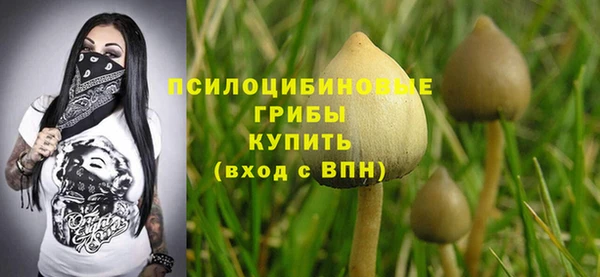стафф Богданович