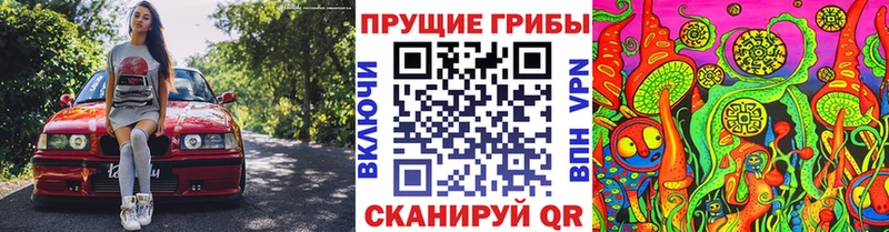 Галлюциногенные грибы GOLDEN TEACHER  Купить где  Алатырь 