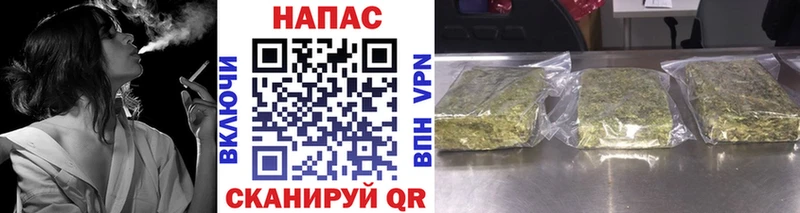 Купить закладки  Алатырь  Каннабис White Widow 